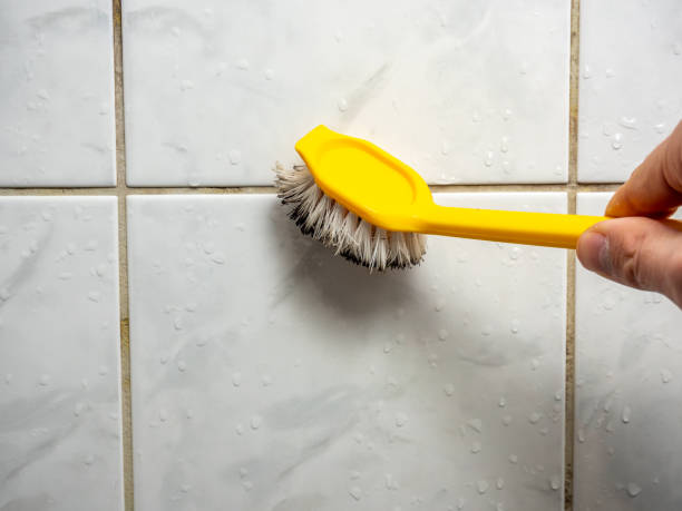 Best Fast Mold Removal  in Hinesville, GA