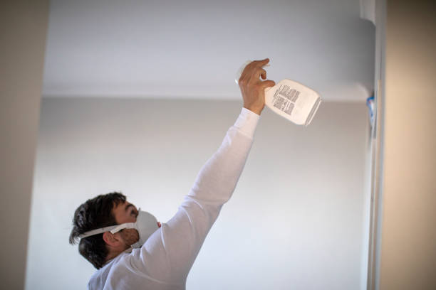 Best Mold Remediation Experts  in Hinesville, GA
