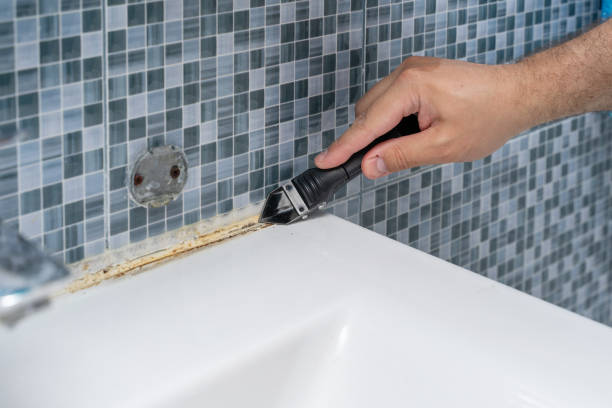 Best Certified Mold Removal  in Hinesville, GA