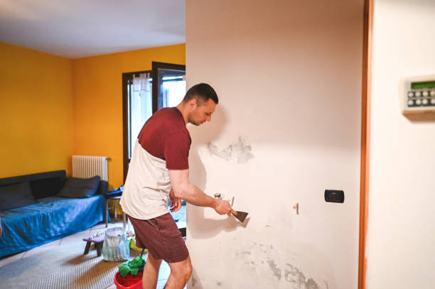 Best Local Mold Removal Service  in Hinesville, GA